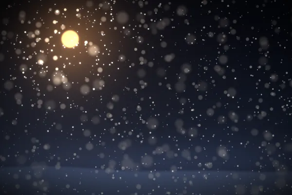 大小不同的雪片缓慢落下，并轻轻漂向两侧